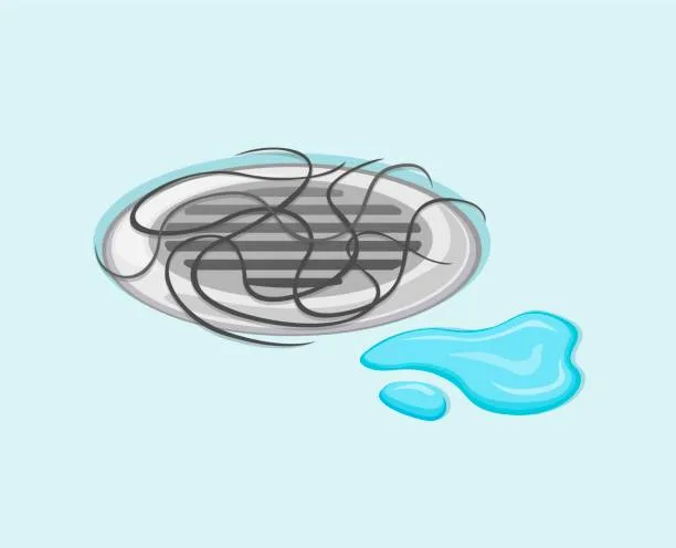 화장실 냄새 없애는 방법 효과만점 방법
